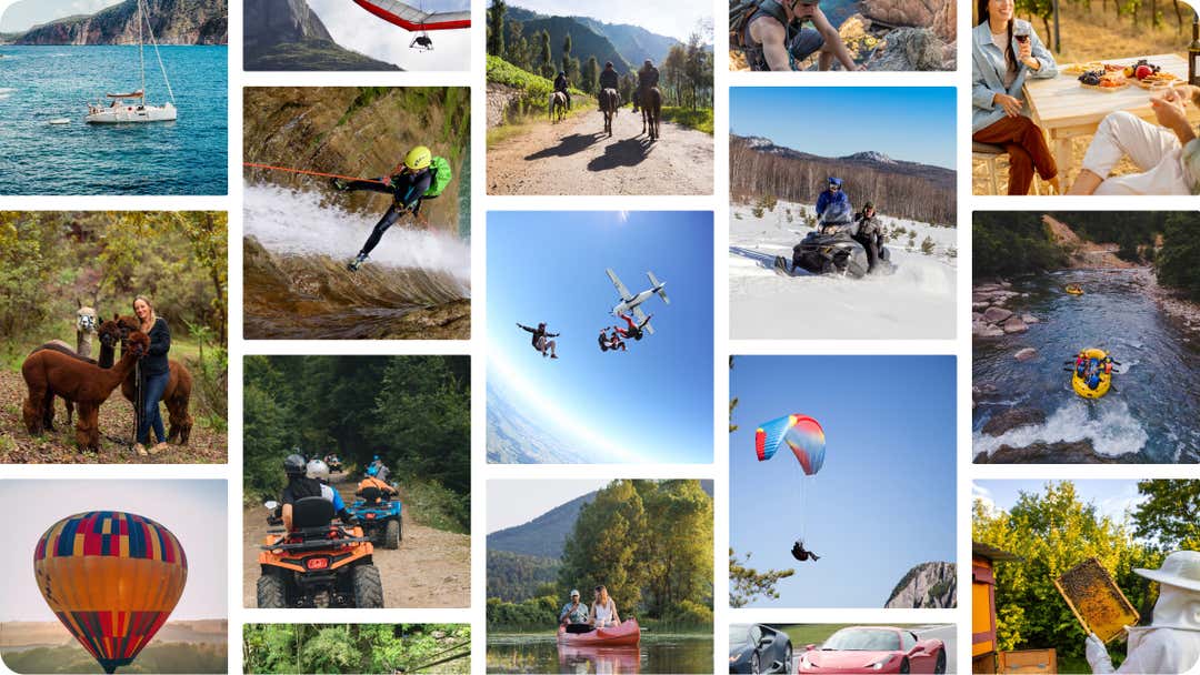 Black Friday Freedome