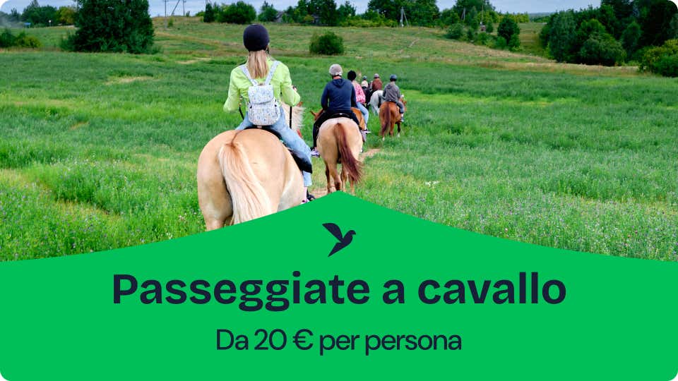 Passeggiate a cavallo