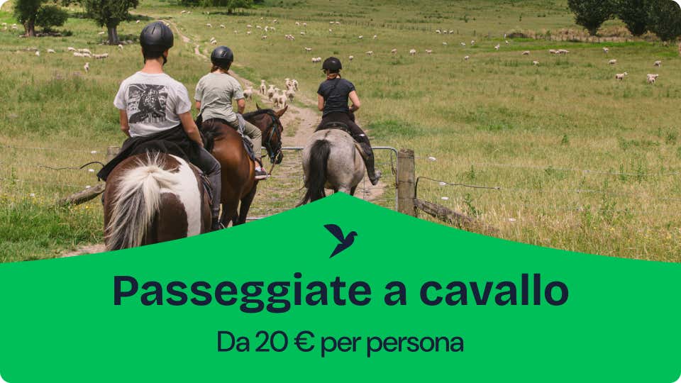 Passeggiate a cavallo