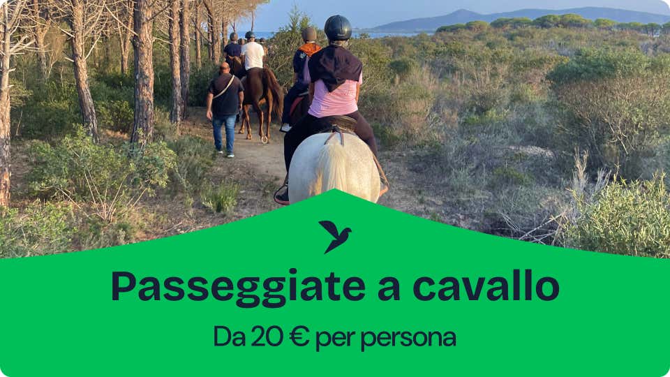 Passeggiate a cavallo