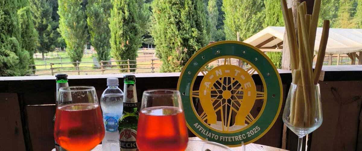 Horseback riding on the trail of the Etruscans in Vetralla