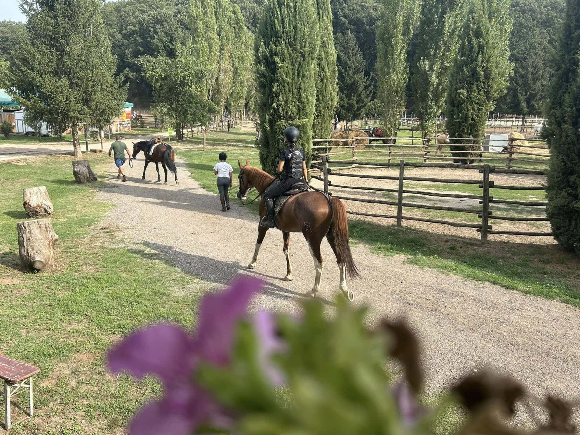 Passeggiata a cavallo sulle tracce degli Etruschi a Vetralla