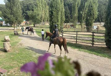 Horseback riding on the trail of the Etruscans in Vetralla