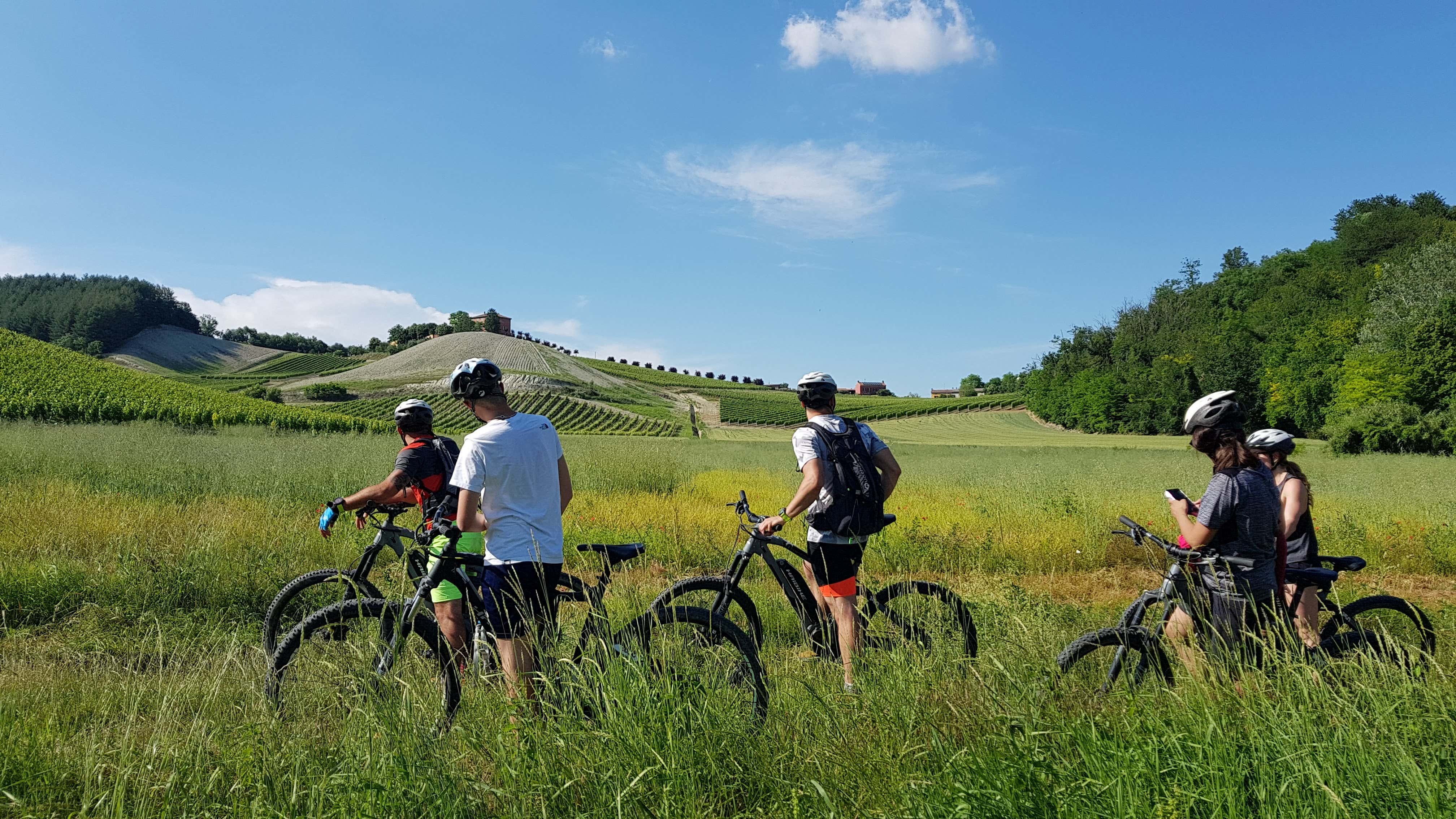Tour in e-bike sulle orme del tartufo nel Monferrato