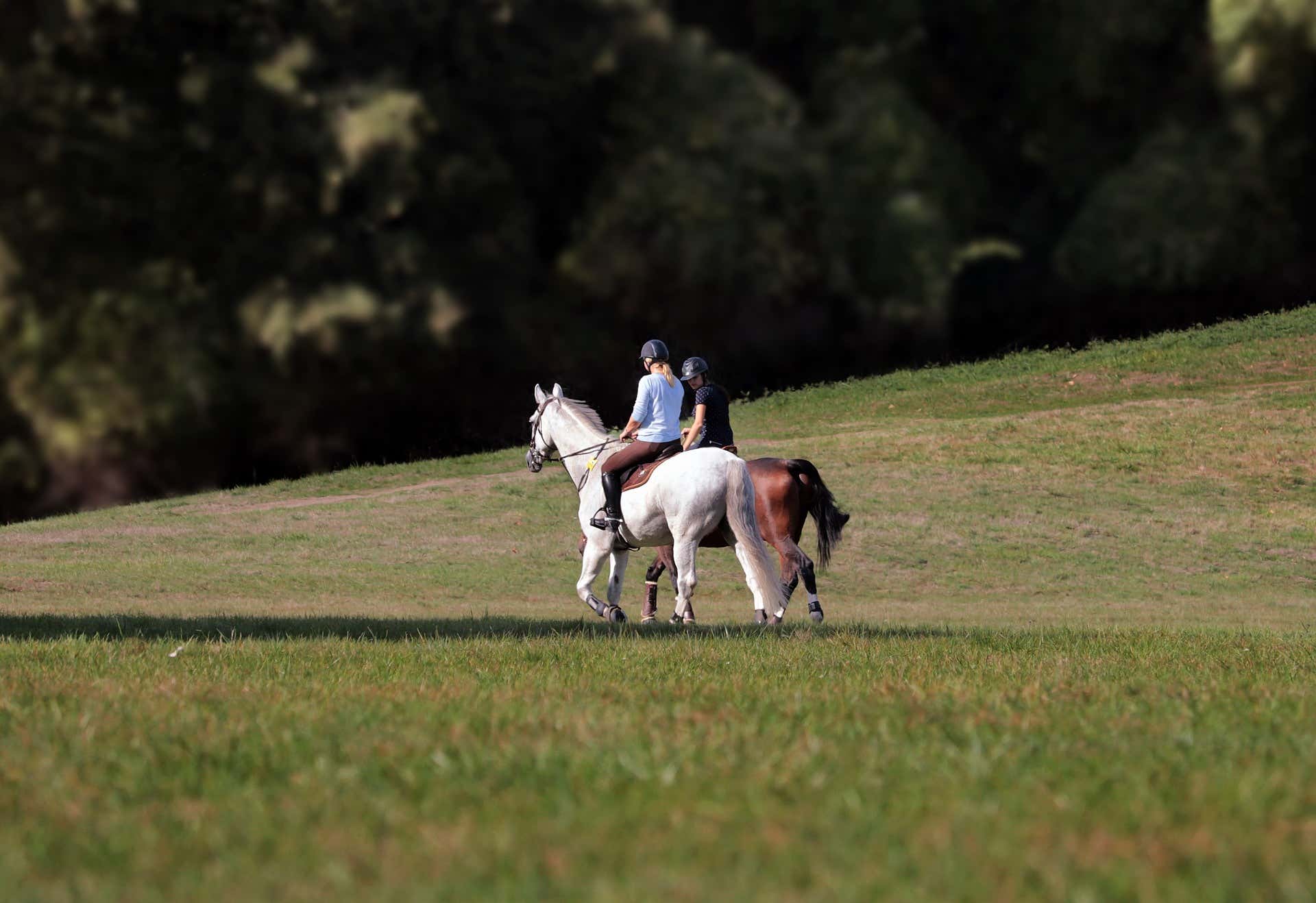 Escursione a cavallo con pranzo nella Valle del Menotre