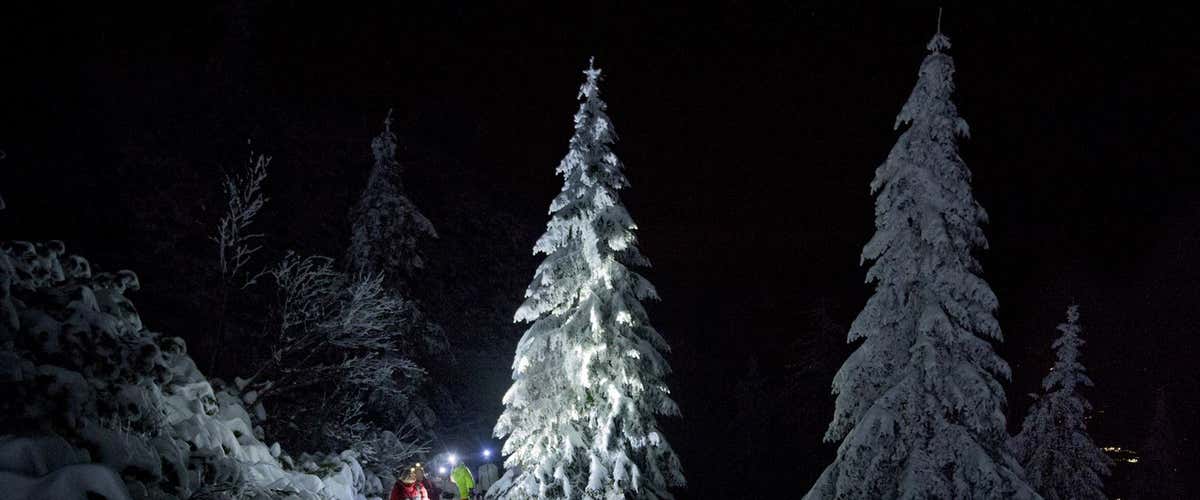 Moonlight snowshoeing in Andalo