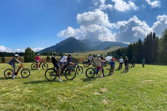 Bike ed E-bike Trentino-Alto Adige A partire da €55 Freedome