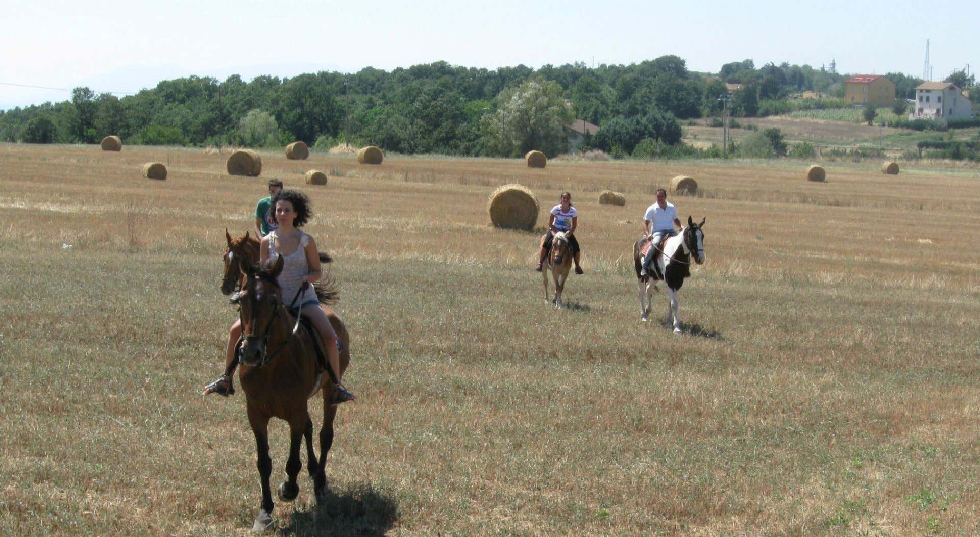 Half-day horse riding tour in the Campania Apennines