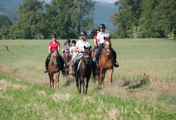 Horseback riding in nature at Salsomaggiore Terme
