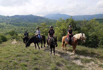 Horseback riding in nature at Salsomaggiore Terme