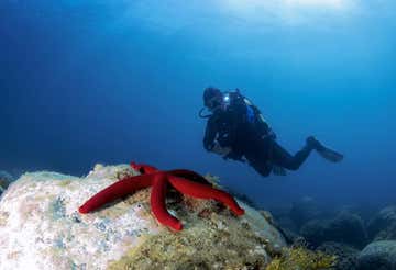 Scuba diving at the canyon of Santa Maria La Scala