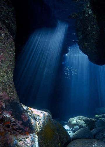 Scuba diving at the canyon of Santa Maria La Scala