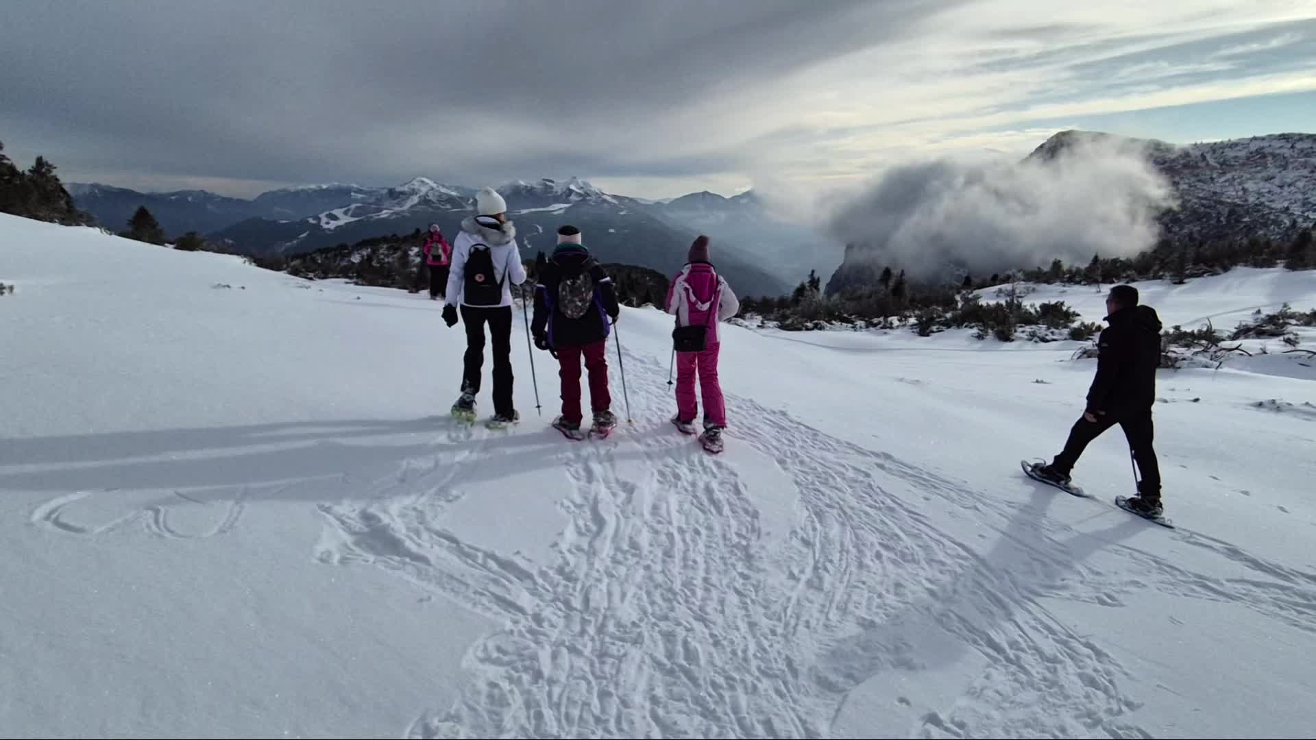 High-altitude snowshoeing on the Paganella in Andalo Freedome