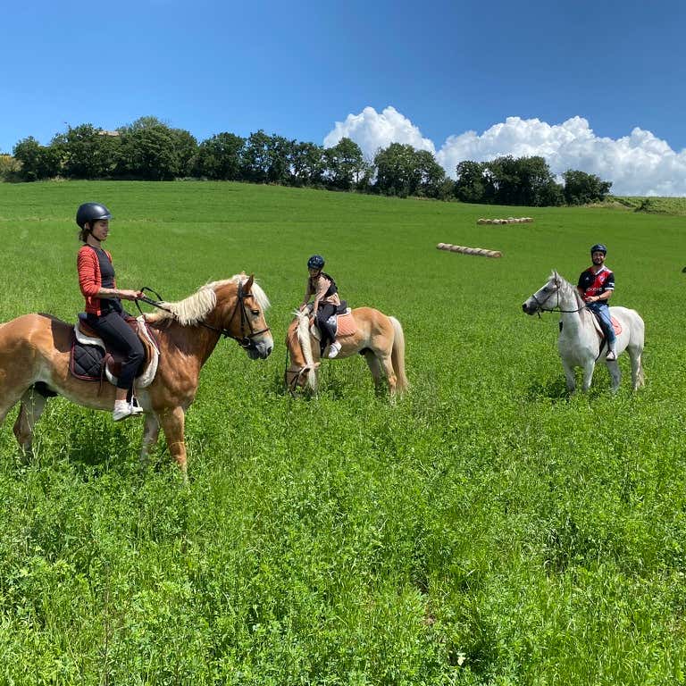 Passeggiata a cavallo tra Orvieto e Porano Freedome