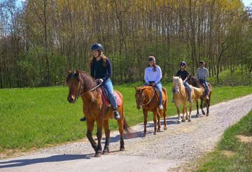 Horseback riding in the Monferrato plain
