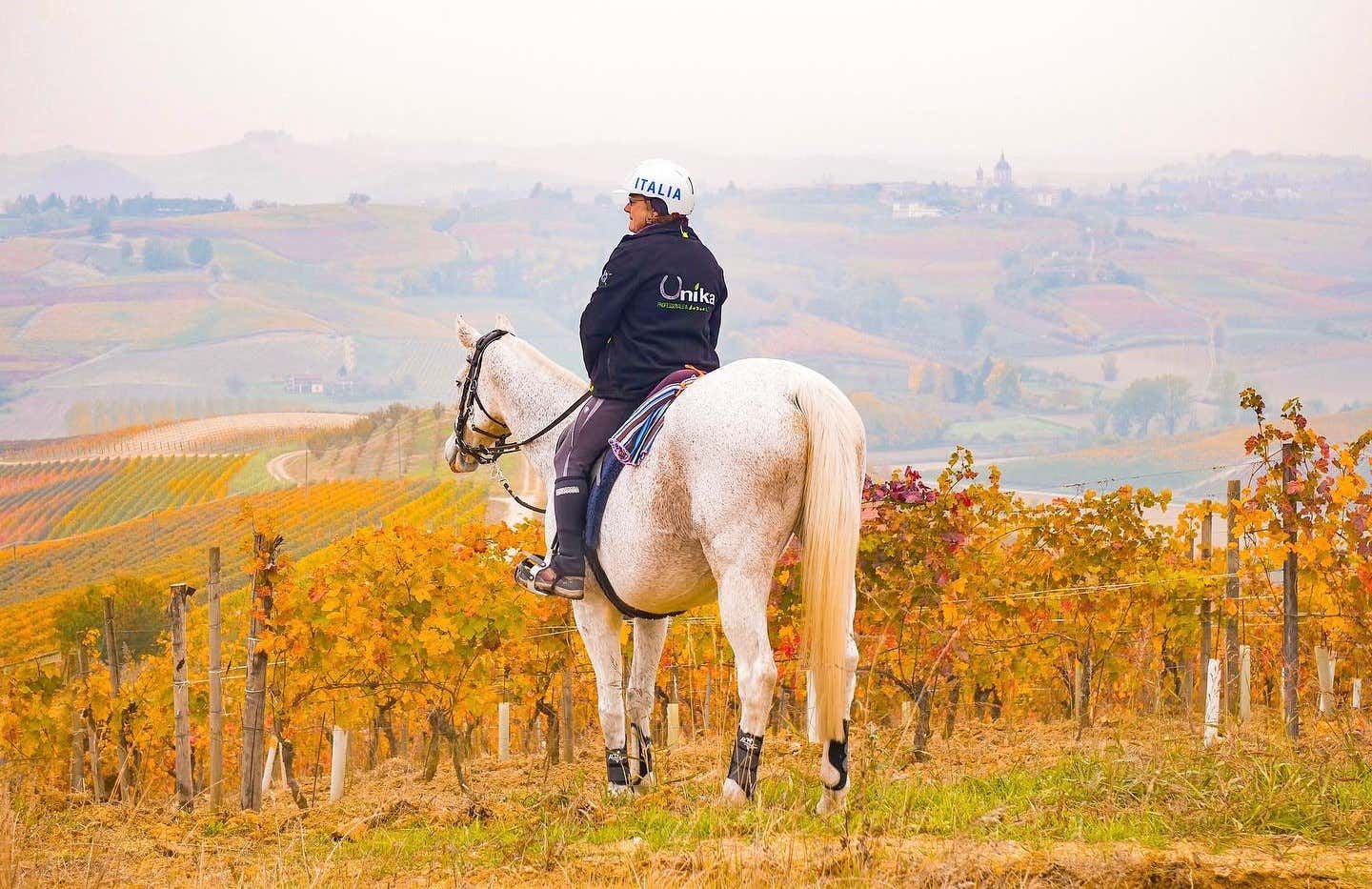 Soggiorno in agriturismo con passeggiata a cavallo nel Monferrato