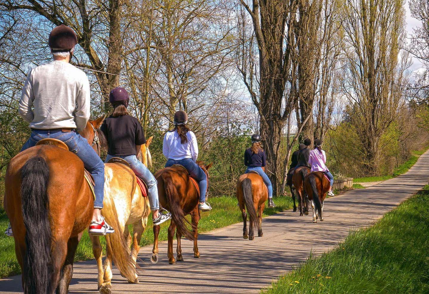 Soggiorno in agriturismo e passeggiata a cavallo nel Monferrato con pranzo