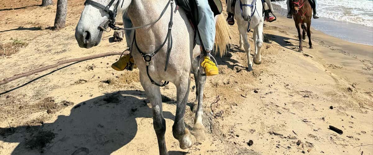 Passeggiata a cavallo di 2 ore tra terra e mare in provincia di Agrigento con aperitivo