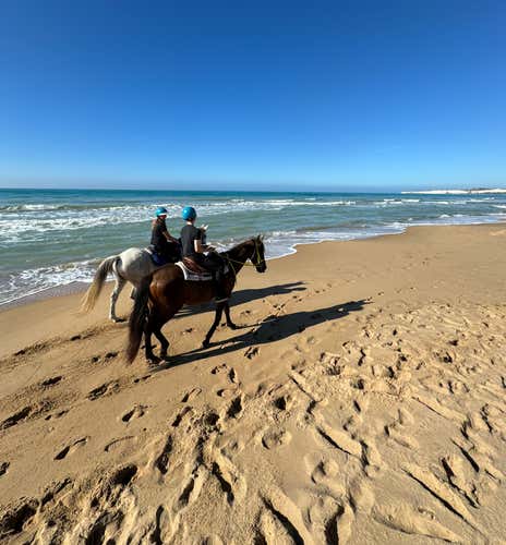 Passeggiata a cavallo di 1 ora nella Riserva di Torre Salsa in provincia di Agrigento