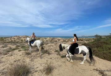 Passeggiata a cavallo di 1 ora nella Riserva di Torre Salsa in provincia di Agrigento