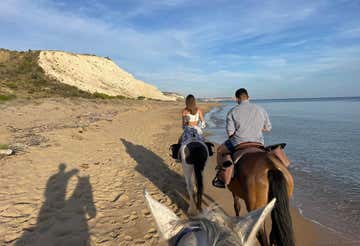 Passeggiata a cavallo di 1 ora nella Riserva di Torre Salsa in provincia di Agrigento