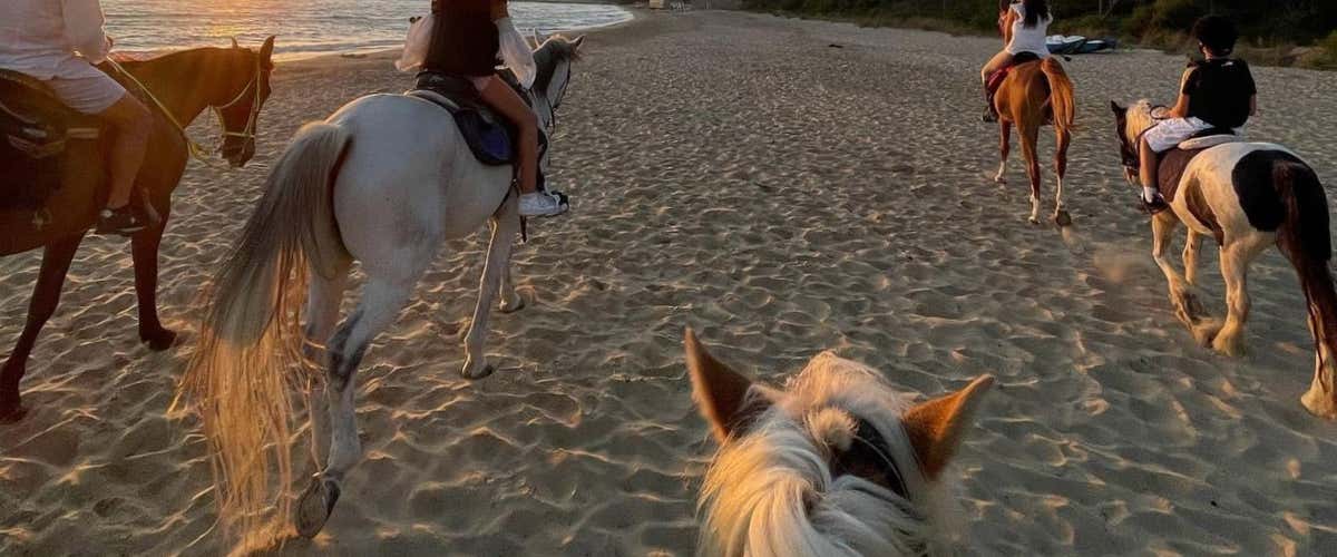 Passeggiata a cavallo di 1 ora tra terra e mare in provincia di Agrigento
