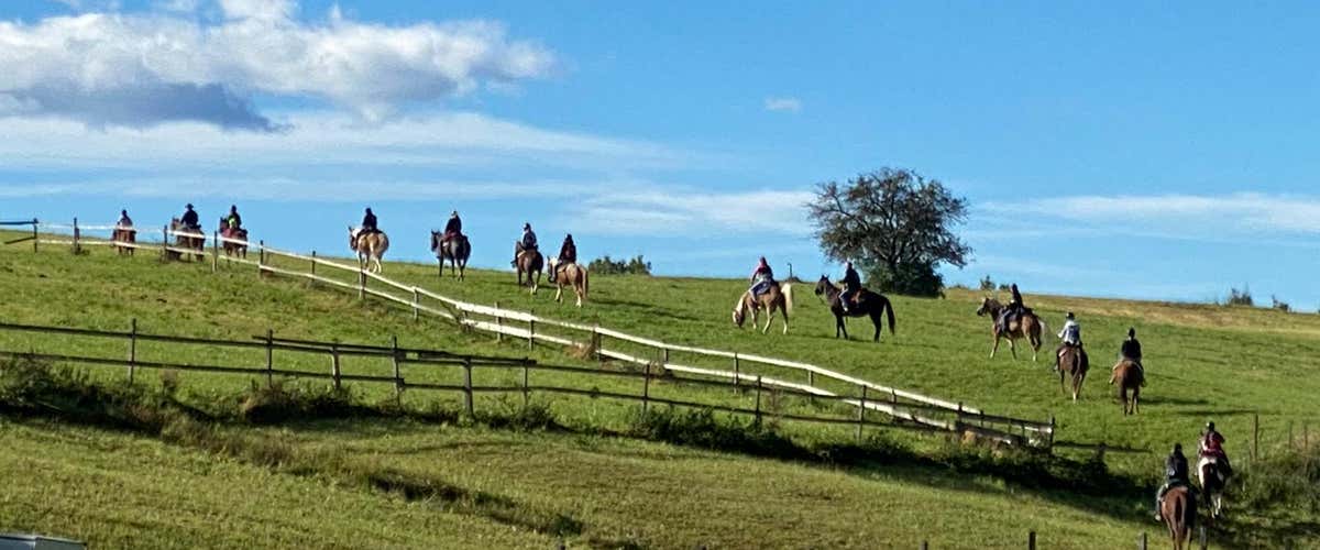 Passeggiata a cavallo a Cavareno in Val di Non