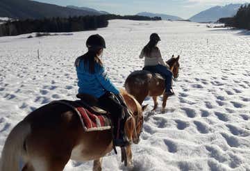 Passeggiata a cavallo a Cavareno in Val di Non