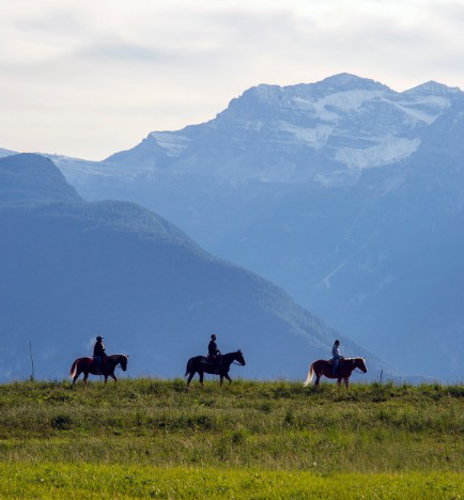 Passeggiata a cavallo a Cavareno in Val di Non