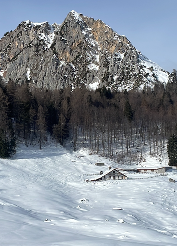 3-hour snowmobile adventure to Mount Pura and tasting