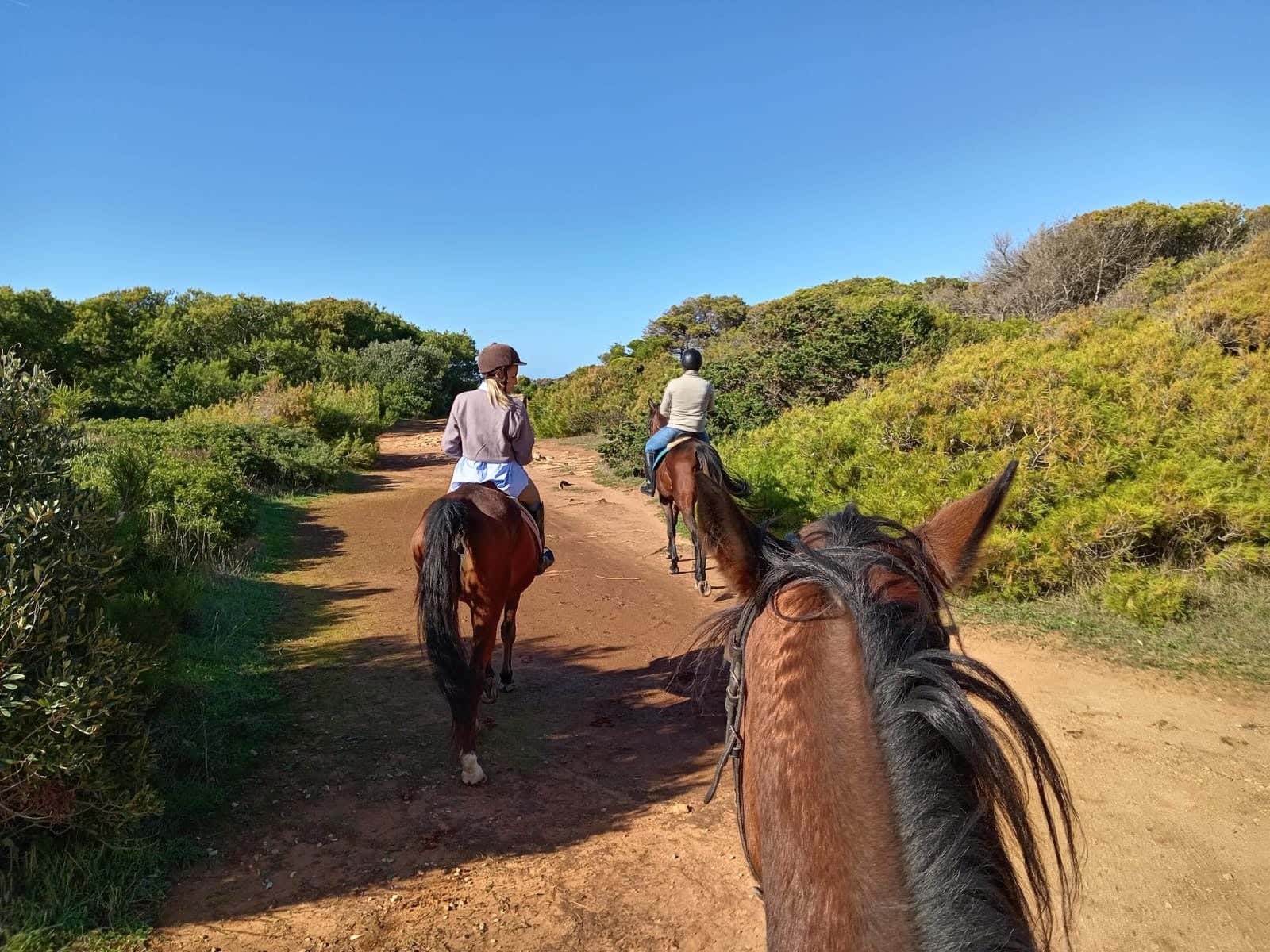 Passeggiata a cavallo privata nel Parco Naturale di Porto Selvaggio