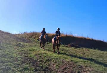 Passeggiata a cavallo di coppia nel cuore del Chianti con brindisi