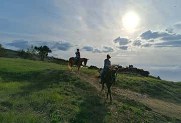 Passeggiata a cavallo di coppia nel cuore del Chianti con brindisi