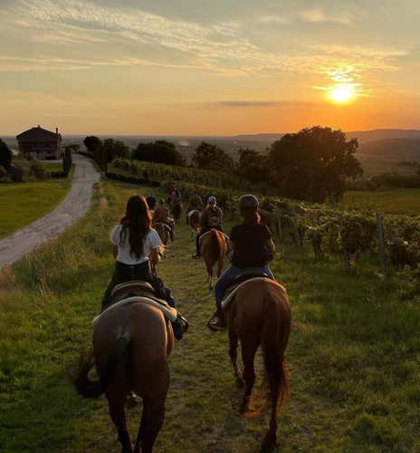1-hour horse trekking in the Euganean Hills Park