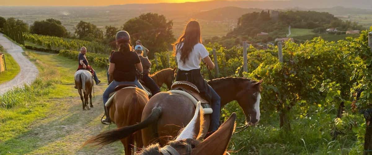 1-hour horse trekking in the Euganean Hills Park