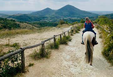 1-hour horse trekking in the Euganean Hills Park