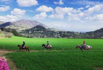 1-hour horse trekking in the Euganean Hills Park