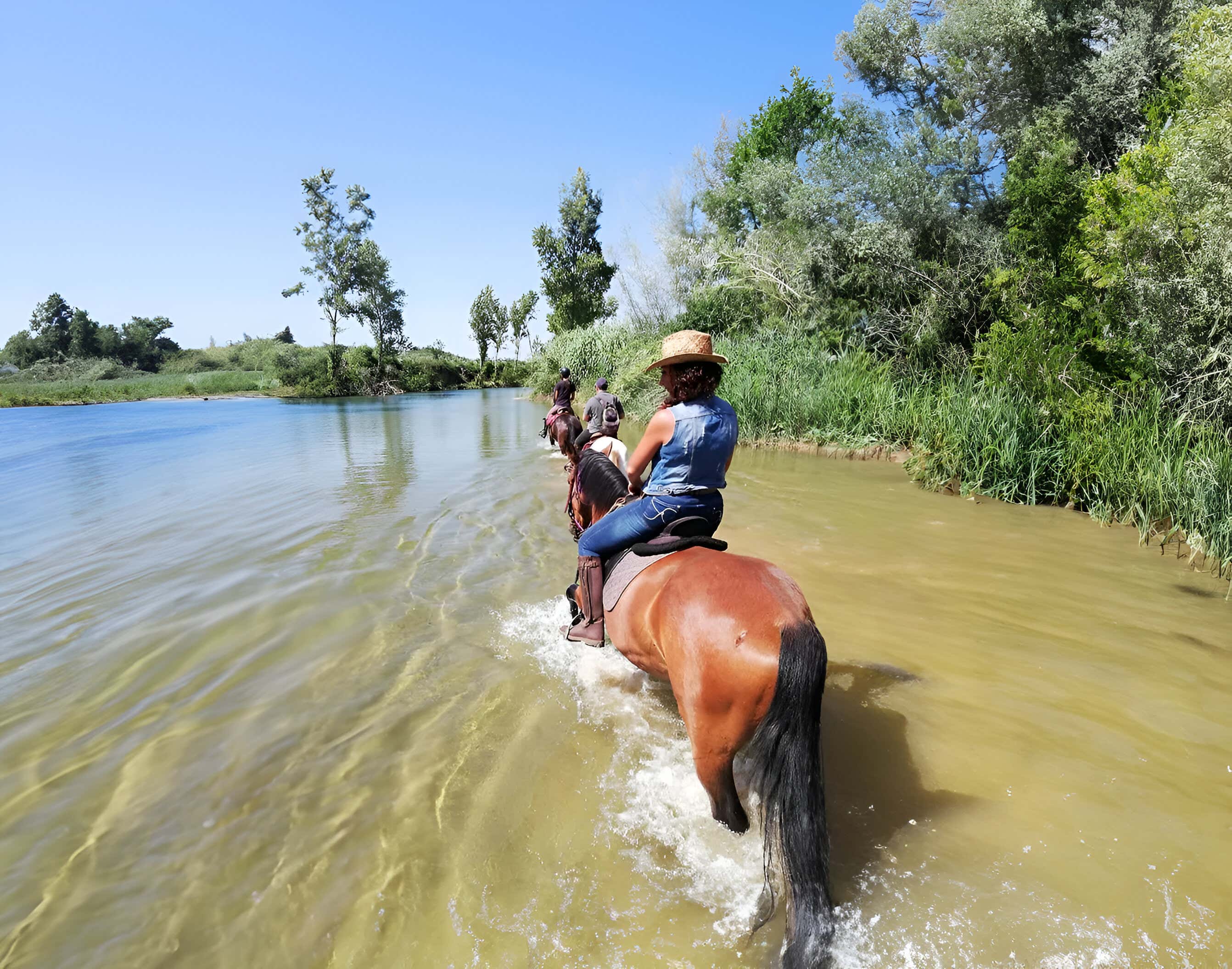 Avventura a cavallo lungo il fiume Cornia con pranzo o cena