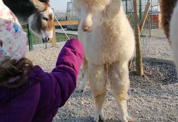 Guided tour of a farm near Ferrara