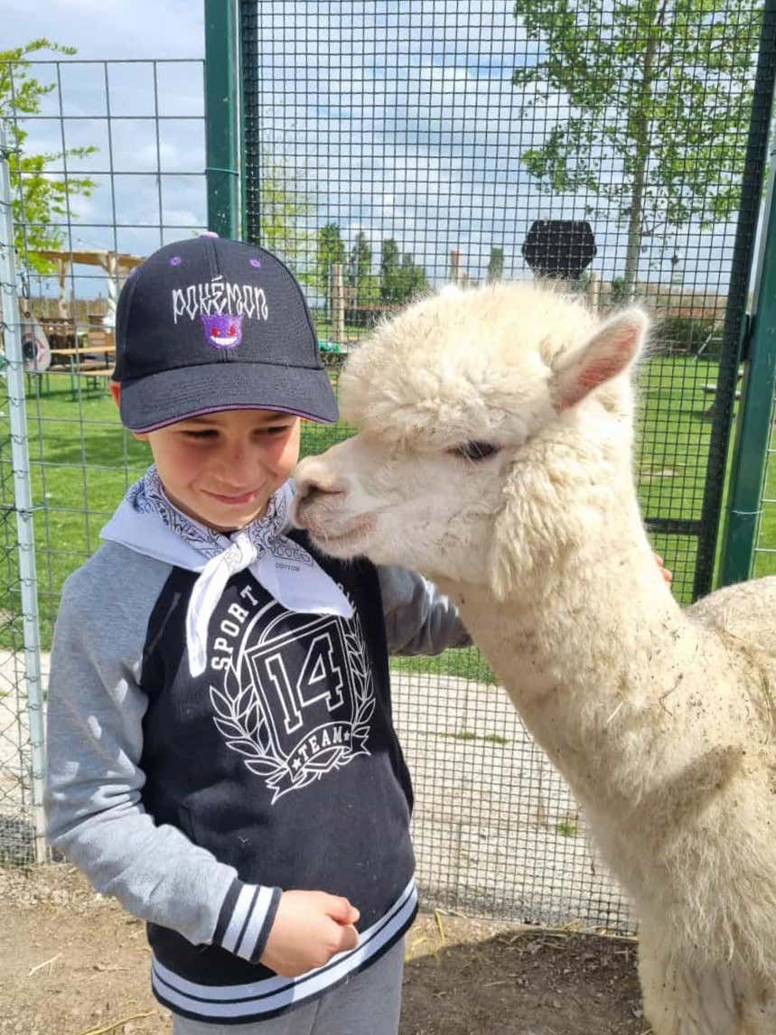 Esperienza per bambini alla scoperta degli alpaca vicino a Ferrara