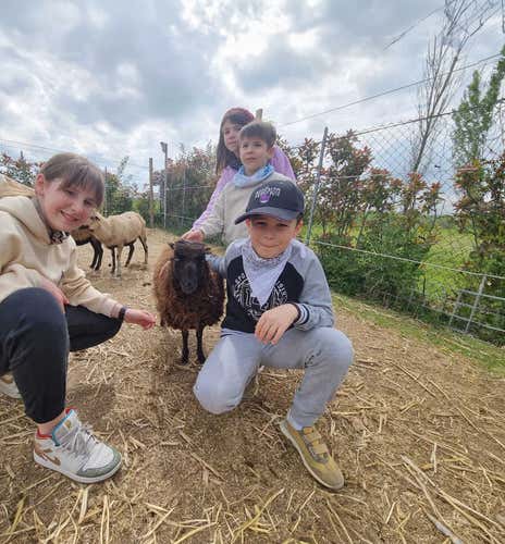 Guided tour of a farm near Ferrara