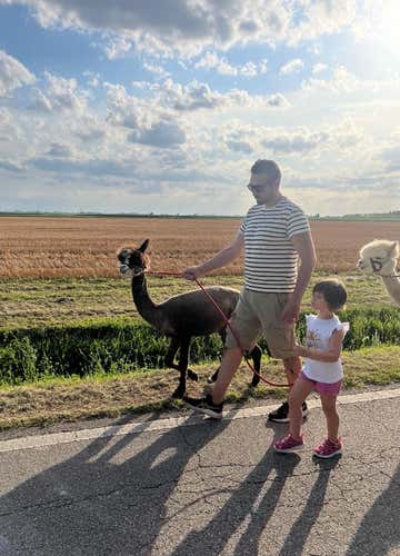 Passeggiata con alpaca tra borghi storici e santuari vicino a Ferrara