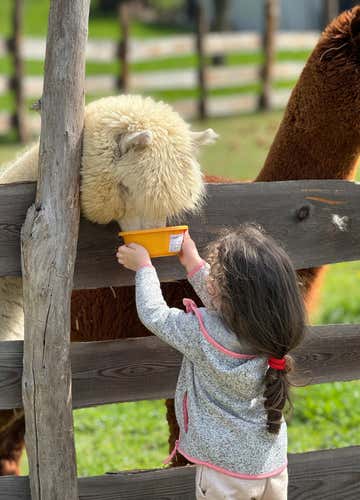 Guided tour of an exotic farm in the province of Cuneo