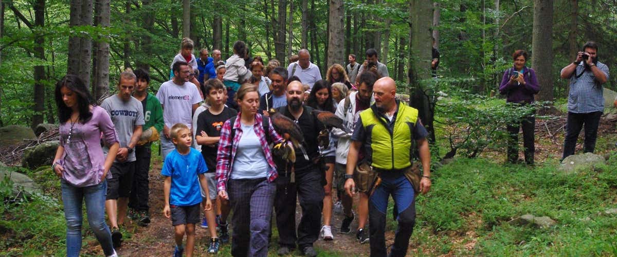 Passeggiata con i rapaci vicino a Torino