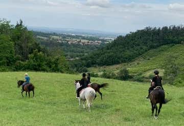 Lezione di equitazione e passeggiata a cavallo nell’Oltrepò Pavese