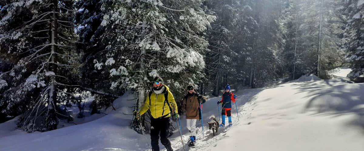 Snowshoeing from Passo Coe on the Alpe Cimbra