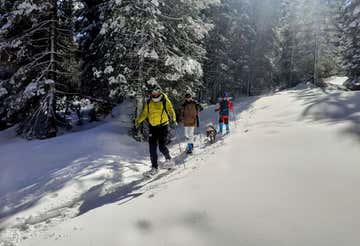 Snowshoeing from Passo Coe on the Alpe Cimbra
