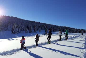 Snowshoeing from Passo Coe on the Alpe Cimbra