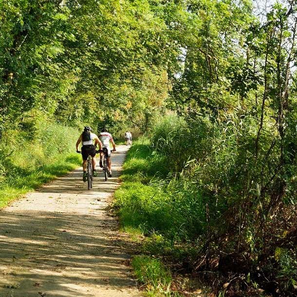 Piste Ciclabili Bicicletta Touring Club Italiano Le Piste