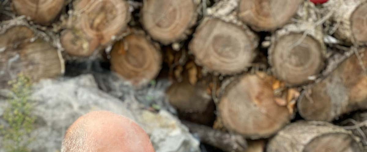Giornata di sopravvivenza e bushcraft nella Valle del Sarca